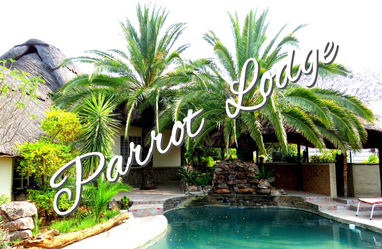 Parrot Lodge บูลาวาโย ภายนอก รูปภาพ
